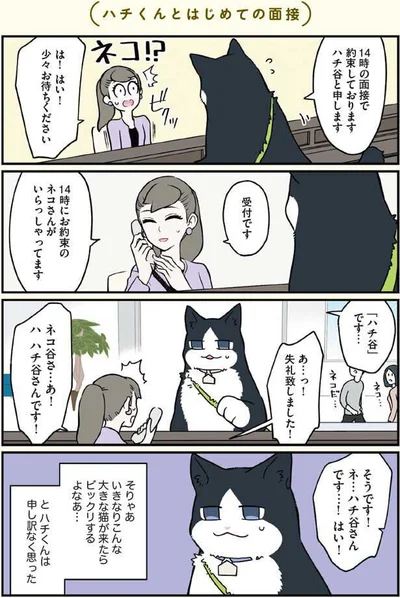 14時にお約束のネコさんがいらっしゃってます