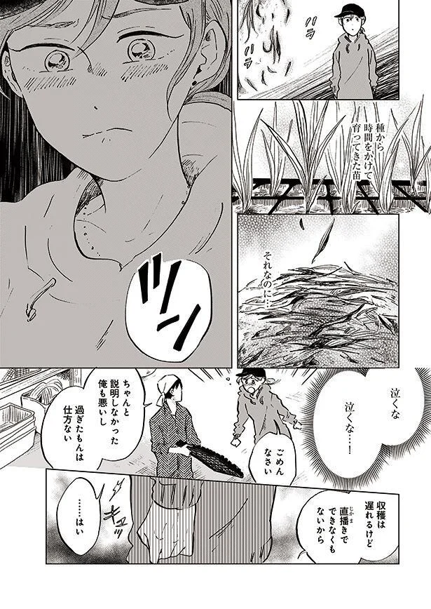 もう一度肥料をあげれば