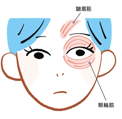 眼輪筋の衰え&皺眉筋の凝りで老化に拍車が！