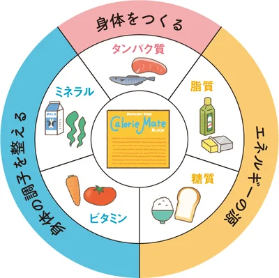 身体に必要な５大栄養素