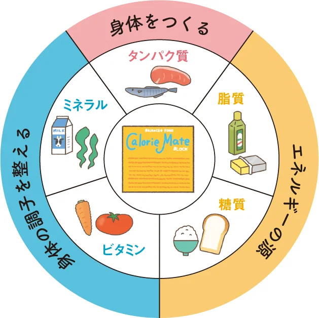 身体に必要な５大栄養素