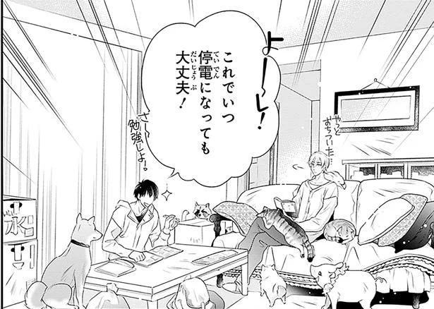 これでいつ停電になっても大丈夫!