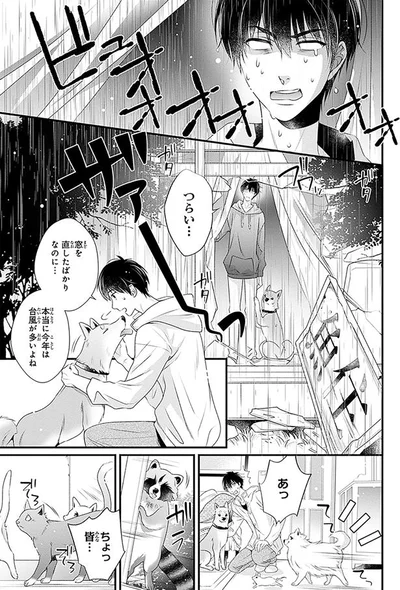 窓を直したばかりなのに…