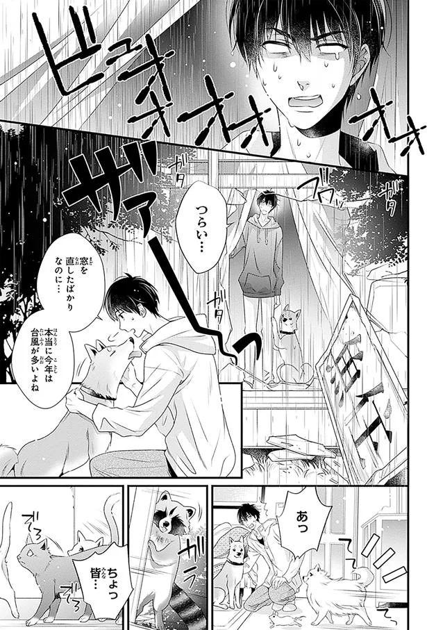 窓を直したばかりなのに…