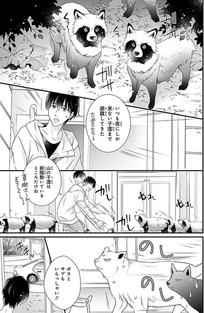 夜にしか来ない子達まで避難してきた