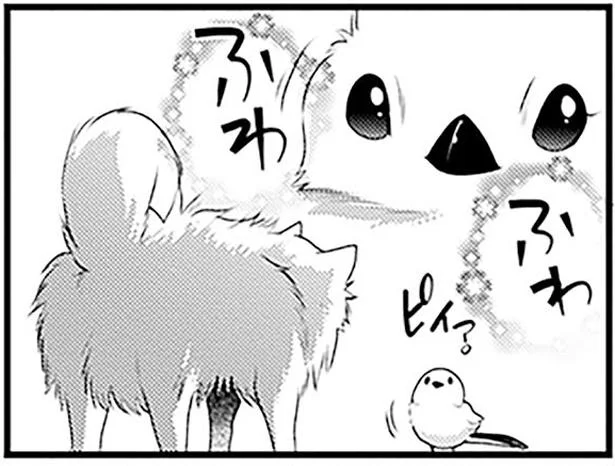 ポメちゃんご乱心!? ふわふわボディがかぶった子たちに…／義理の兄は動物の声が聞こえる5（8）