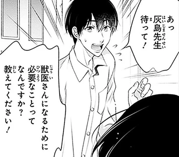 教えて先生！獣医になるために必要なたった一つのことって？／義理の兄は動物の声が聞こえる5（11）