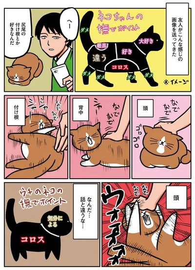 猫の撫でポイント