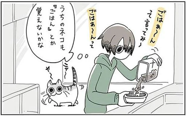 うちのネコも『ごはん』とか覚えないかな