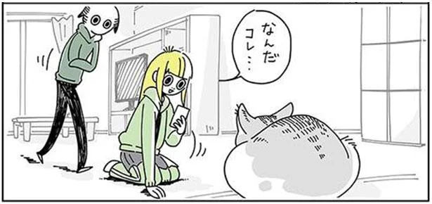 ネコの模様を読み取り完了！命名「キュルガ」の意外な由来／夜は猫といっしょ（6）