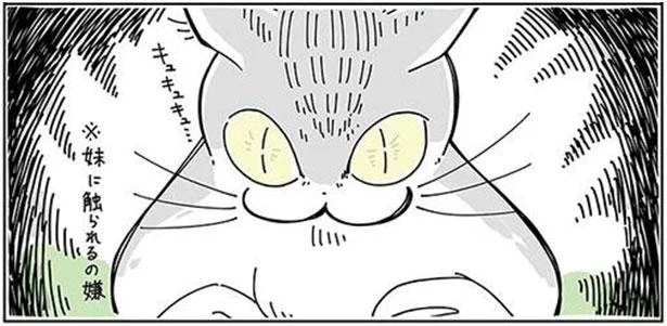 昼夜で別人のように変化。瞳孔でわかるネコのキモチ／夜は猫といっしょ（7）