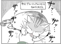 「ザッ、ザッ、ザッ…」痛いけど許してしまう！かわいいグルーミング／夜は猫といっしょ（8）