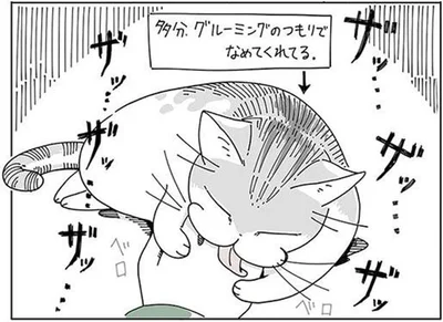 ザッ…　ザッ…　ザッ
