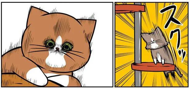 その表情初めて見た 猫って驚いたときそんな顔するんだ 鴻池剛と猫のぽんた ニャアアアン 7 レタスクラブ
