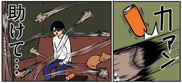 まるで弾丸 生後3ヶ月の子猫との生活はすさまじい 鴻池剛と猫のぽんた ニャアアアン 8 レタスクラブ