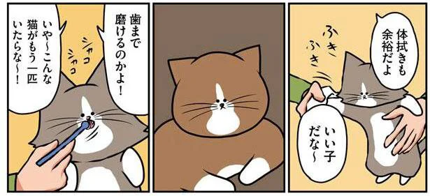 いや～こんな猫がもう一匹いたらな～！