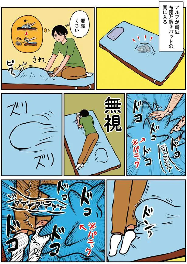 無視