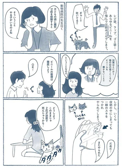 ビニールの管理は徹底しよう