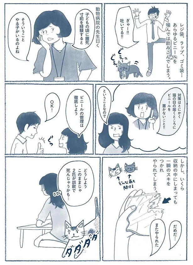 ビニールの管理は徹底しよう