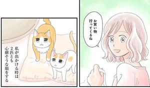 飼い猫がなつきません レタスクラブ