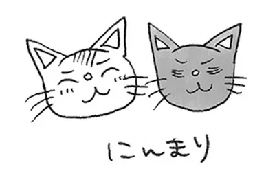 2匹の猫（くるりとぽっけ）