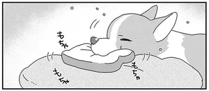 あしょんでよッ うちの犬ログ 10 レタスクラブ