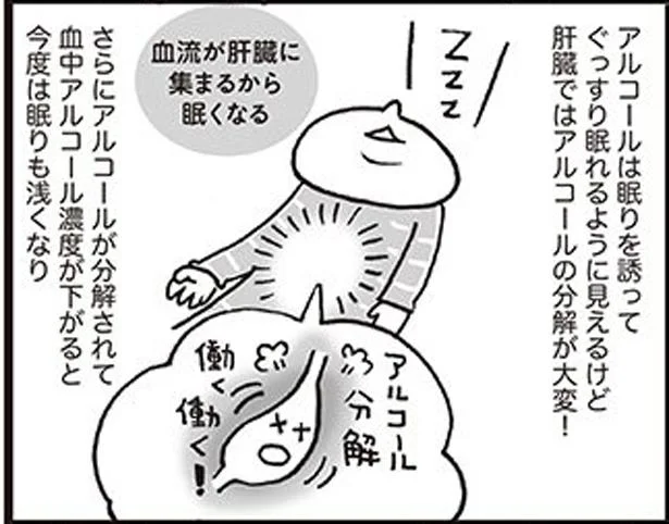 お酒を飲むと眠れる？眠れない？睡眠の質を下げない上手な飲み方／ぐっすり睡眠法（12）