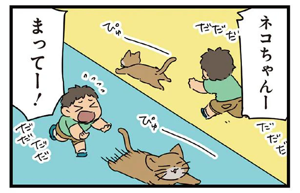 「ネコちゃんを触りたい！」気まぐれネコに翻弄され続ける息子／父と子（2）