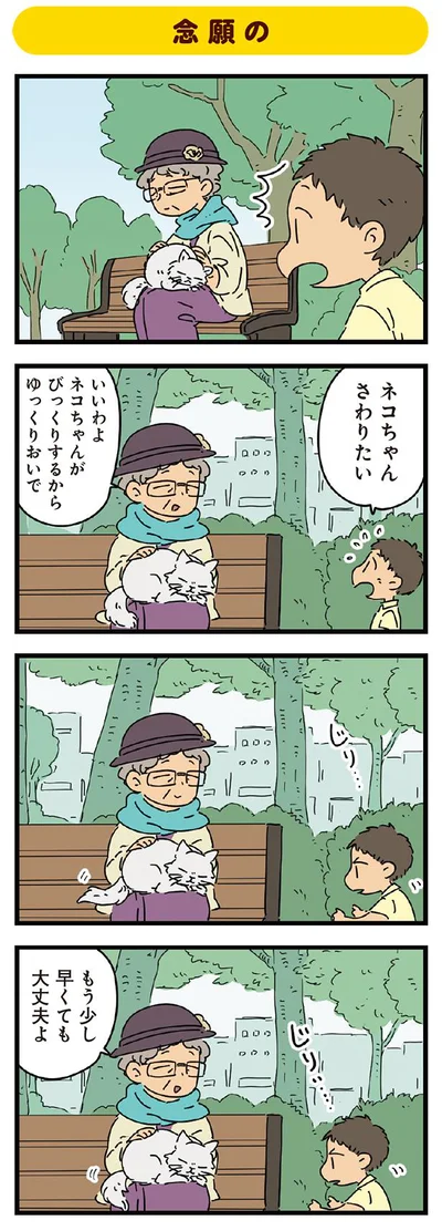 念願の