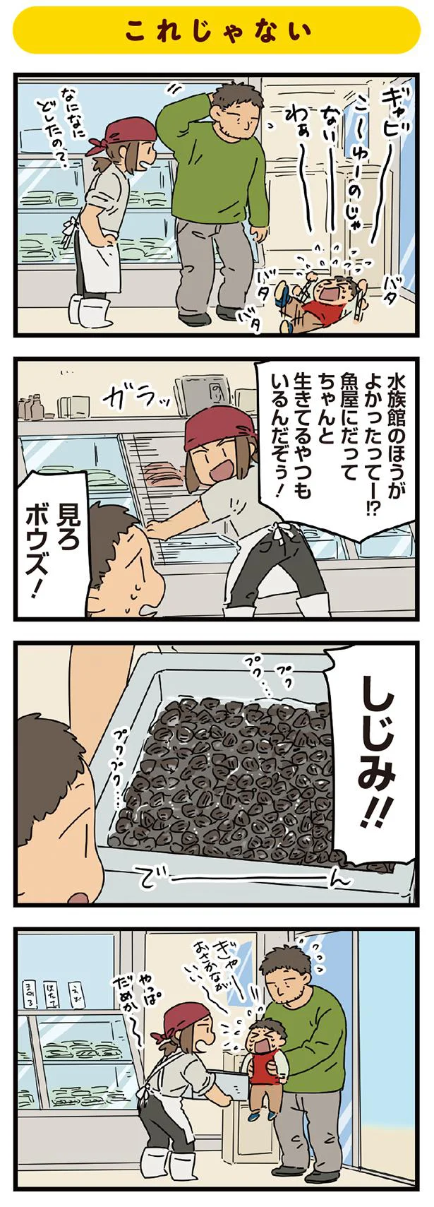 これじゃない