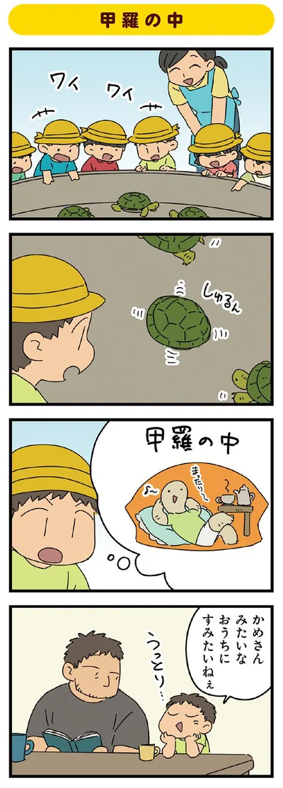 甲羅の中