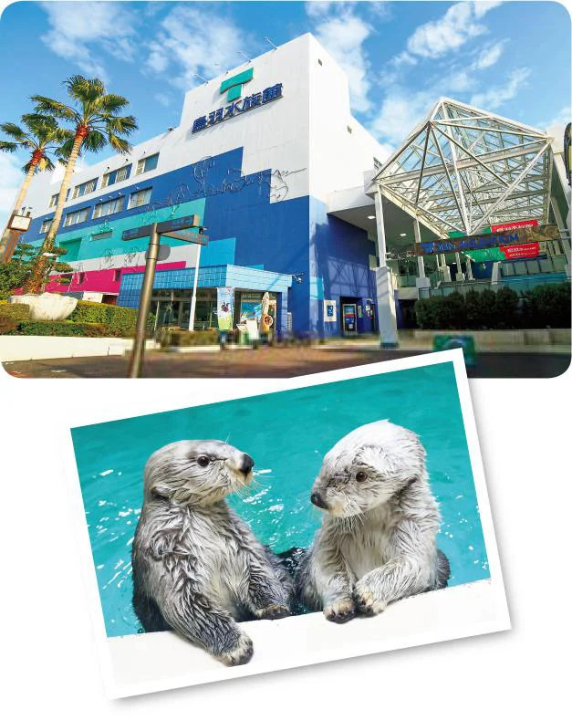 鳥羽水族館で海の生き物に癒されよう!