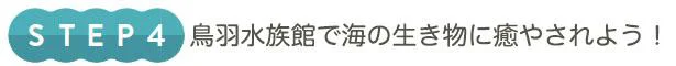   鳥羽水族館で海の生き物に癒やされよう！