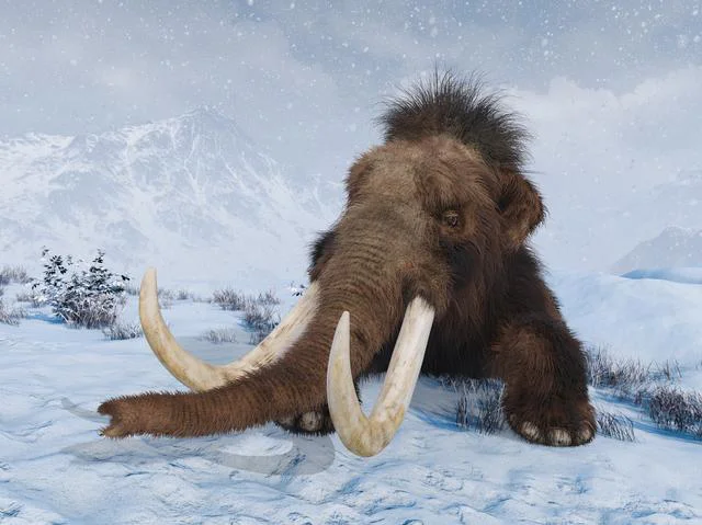 多くの生物種が発見されることもなく絶滅している可能性⁉／人類なら知っておくべき地球の雑学（146）