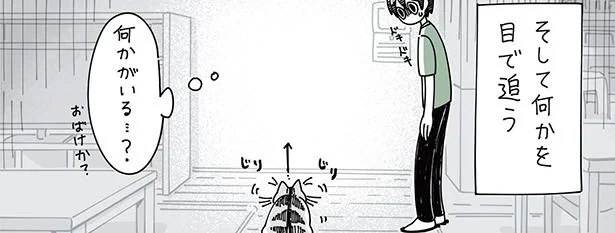 何かがいる…?