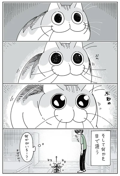 そして何かを目で追う