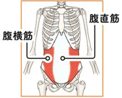 筋肉の状態