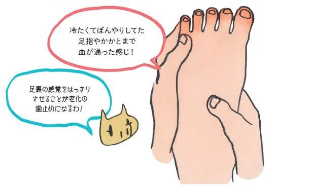 老化に歯止めをかけるには？足裏の感覚を取り戻すことから始めよう！／あぶら身を落とすきくち体操（2）