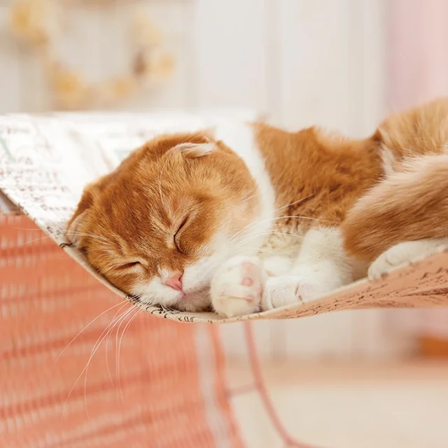 ねこ大満足！ 手入れが簡単なハンモック付きの専用ベッドで昼寝がはかどる