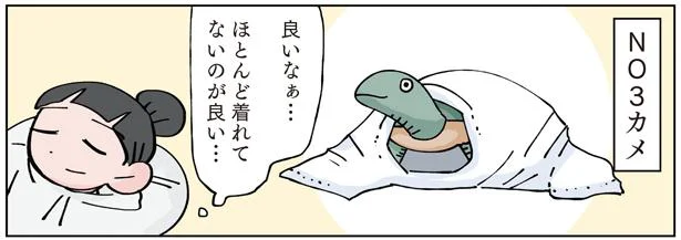 ほとんど着れてないのが良い…