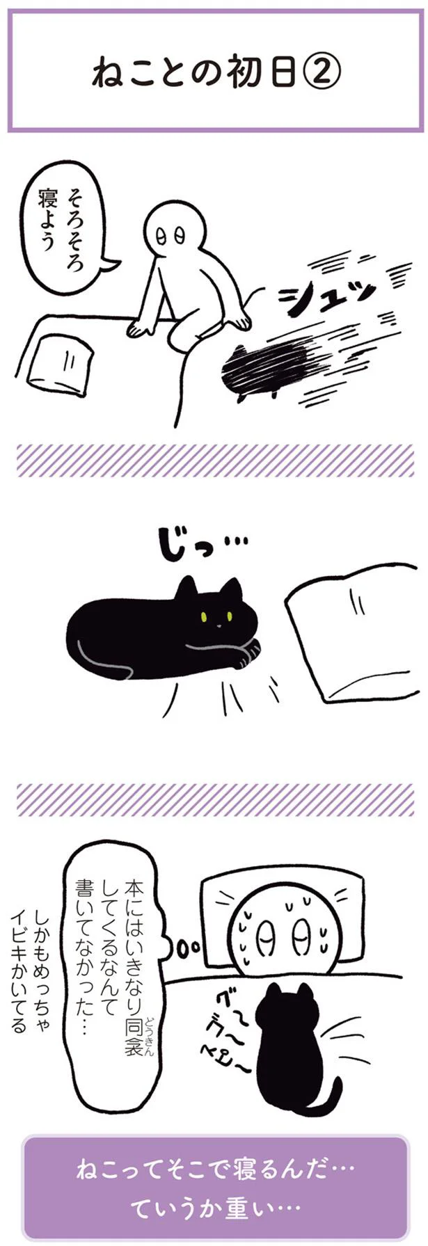 ねこってそこで寝るんだ…