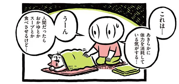 どんなフードも完食！お腹を空かせた迷い猫を自宅で保護／ねこおばあさんぼく（2）