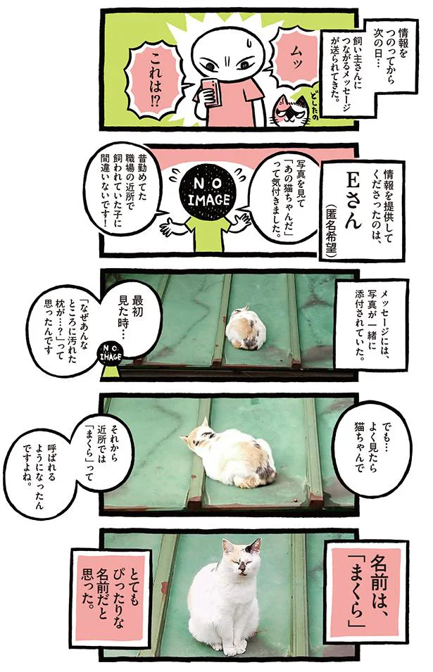 名前は「まくら」