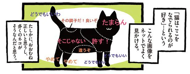 猫はここをなでられるのが好き