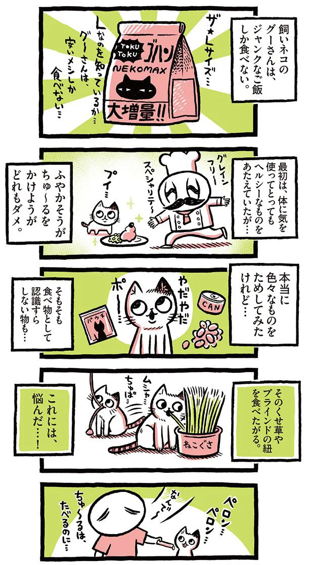 グーさんはジャンクなご飯しか食べない