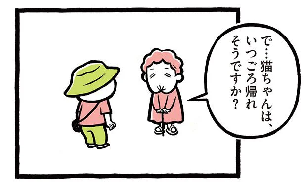 ねこちゃんはいつごろ帰れそうですか?