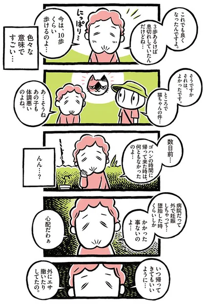 ところで猫ちゃんの件…