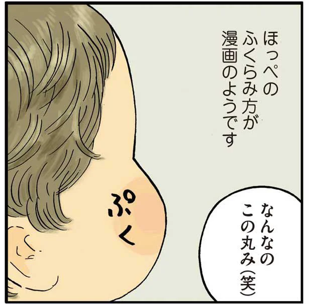 なんなのこの丸み(笑)