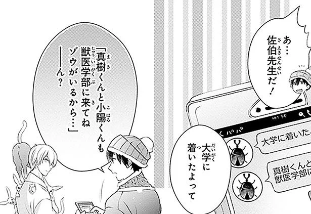 大学でゾウを癒すプロジェクト!?義父が傷ついたゾウを連れてきて…／義理の兄は動物の声が聞こえる6（5）