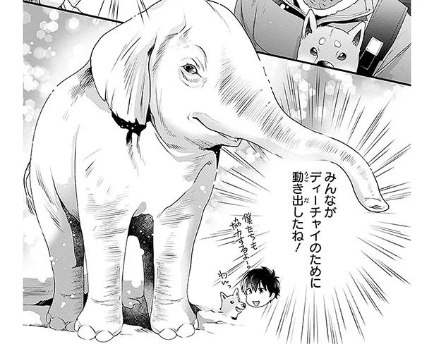 弱ったゾウを助けたい！大学総出でゾウのお世話が始まった／義理の兄は動物の声が聞こえる6（6）